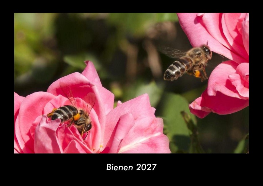 Bienen 2027 Fotokalender DIN A3 - Kevin Heber, Tobias Schmitt