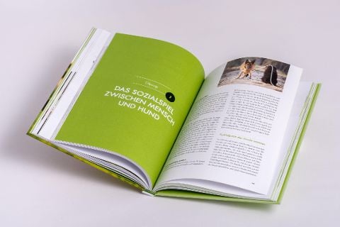 InsideView 8