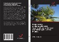 Cover-Bild zum Titel 'Kompozyty polipropylenowe wzmocnione w¿óknami formowanymi Tenax Fibers' von 'Fábio Furtado'