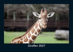 Cover-Bild zum Titel 'Giraffen 2027 Fotokalender DIN A5' von 'Tobias Schmitt, Kevin Heber'