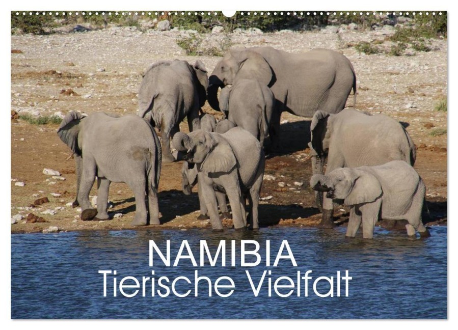 Namibia - Tierische Vielfalt (Wandkalender 2027 DIN A2 quer), CALVENDO Monatskalender - Thomas Morper