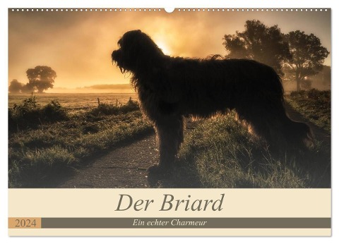Der Briard 2024 - Ein echter Charmeur (Wandkalender 2024 DIN A2 quer), CALVENDO Monatskalender - Sonja Teßen