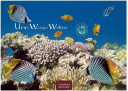 Unterwasserwelten 2026 L 35x50cm - 