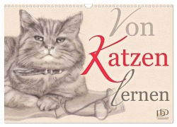 Von Katzen lernen (Wandkalender 2026 DIN A3 quer), CALVENDO Monatskalender - Dany'S Kunst & Design