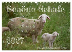 Cover-Bild zum Titel 'Schöne Schafe (Wandkalender 2027 DIN A3 quer), CALVENDO Monatskalender' von 'Cordula Kelle-Dingel'