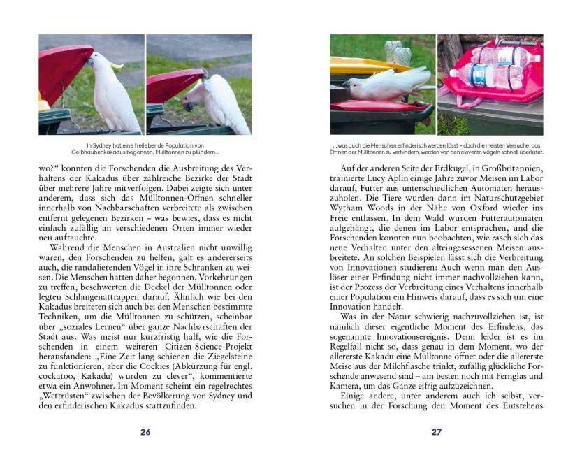 InsideView 16