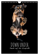 Cover-Bild zum Titel 'Down Under - Hunde auf der Glasplatte (Wandkalender 2026 DIN A4 hoch), CALVENDO Monatskalender' von 'Silke Gareis'