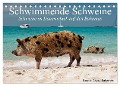 Schwimmende Schweine (Tischkalender 2024 DIN A5 quer), CALVENDO Monatskalender - Elisabeth Stanzer