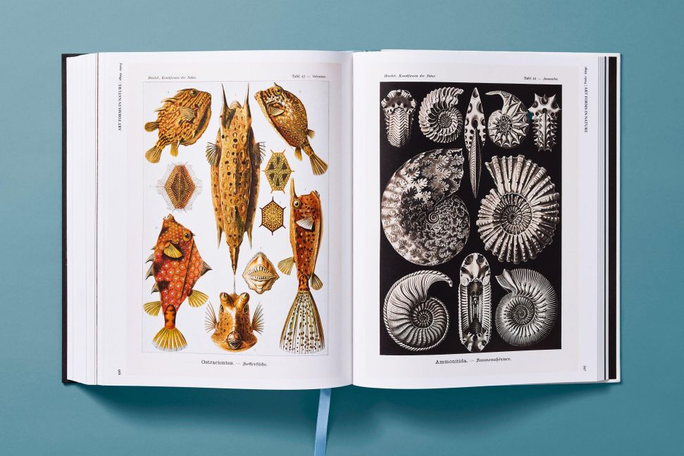 InsideView 20