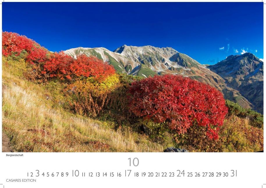 InsideView 10