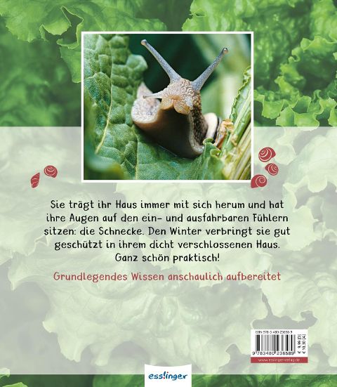 InsideView 6