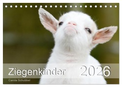 Cover-Bild zum Titel 'Ziegenkinder (Tischkalender 2026 DIN A5 quer), CALVENDO Monatskalender' von 'Carola Schubbel'
