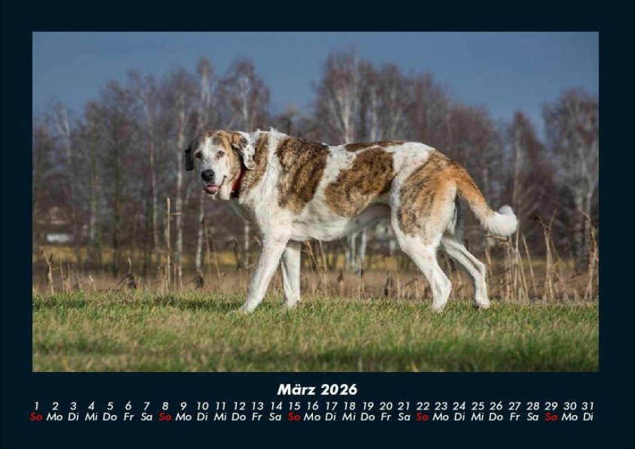 InsideView 7