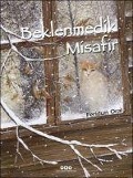 Cover-Bild zum Titel 'Beklenmedik Misafir' von 'Feridun Oral'