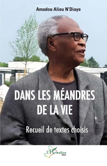 Dans les méandres de la vie - N'Diaye