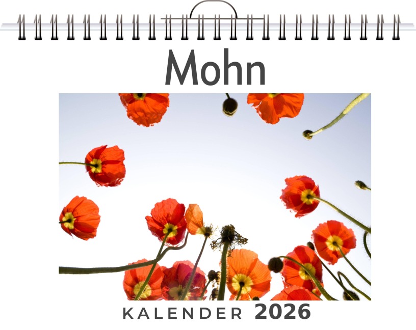 Mohn - Emily Schneider