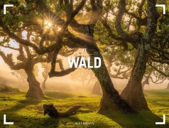 Cover-Bild zum Titel 'Wald Gallery Kalender 2027' von 'Ackermann Kunstverlag GmbH'