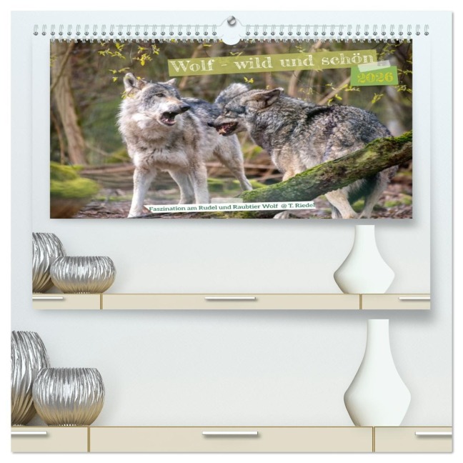 Wolf - wild und schön (hochwertiger Premium Wandkalender 2026 DIN A2 quer), Kunstdruck in Hochglanz - Tanja Riedel