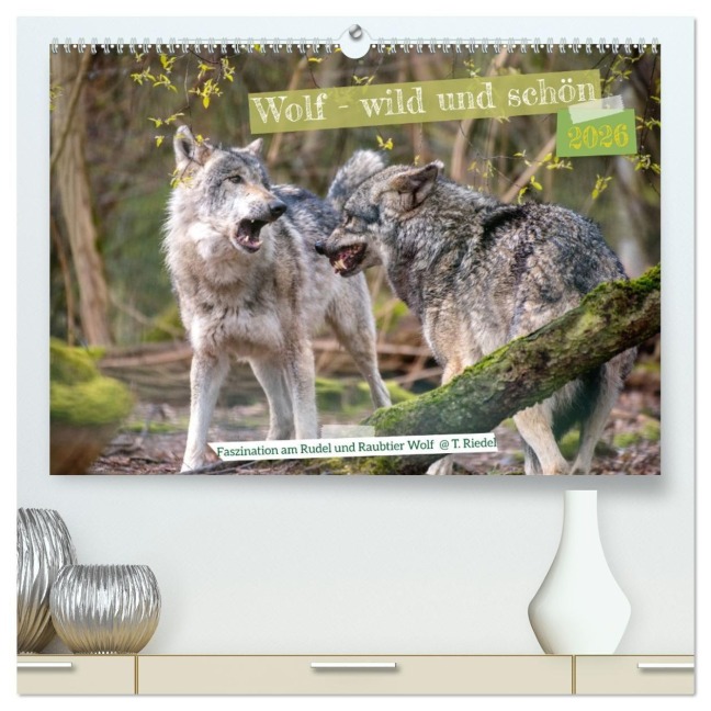 Wolf - wild und schön (hochwertiger Premium Wandkalender 2026 DIN A2 quer), Kunstdruck in Hochglanz - Tanja Riedel