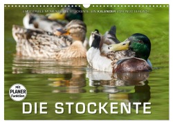 Cover-Bild zum Titel 'Emotionale Momente: Die Stockente. (Wandkalender 2026 DIN A3 quer), CALVENDO Monatskalender' von 'Ingo Gerlach'