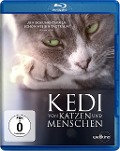 Cover-Bild zum Titel 'Kedi - Von Katzen und Menschen' von 'Kira Fontana'
