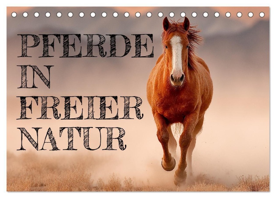 Pferde in freier Natur (Tischkalender 2026 DIN A5 quer), CALVENDO Monatskalender - Mb Fotografie