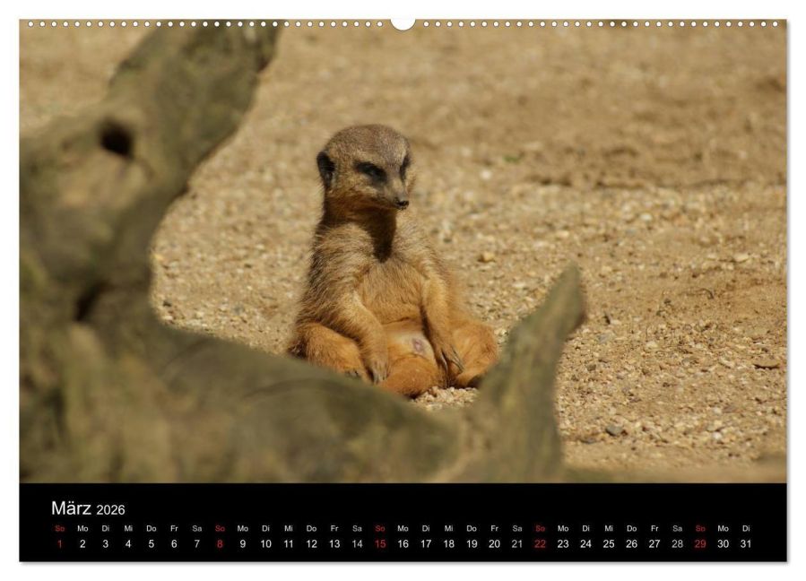 InsideView 8
