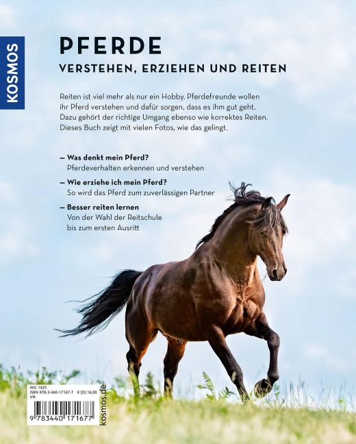 InsideView 1