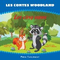 Cover-Bild zum Titel 'Les Cinq Voeux' von 'Priya Chaudhary'