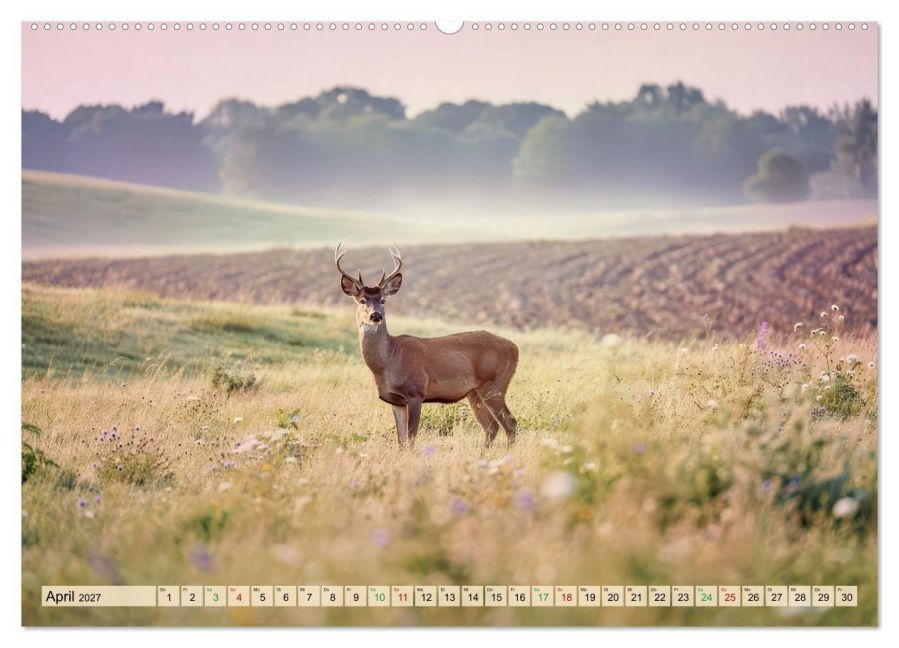 InsideView 8