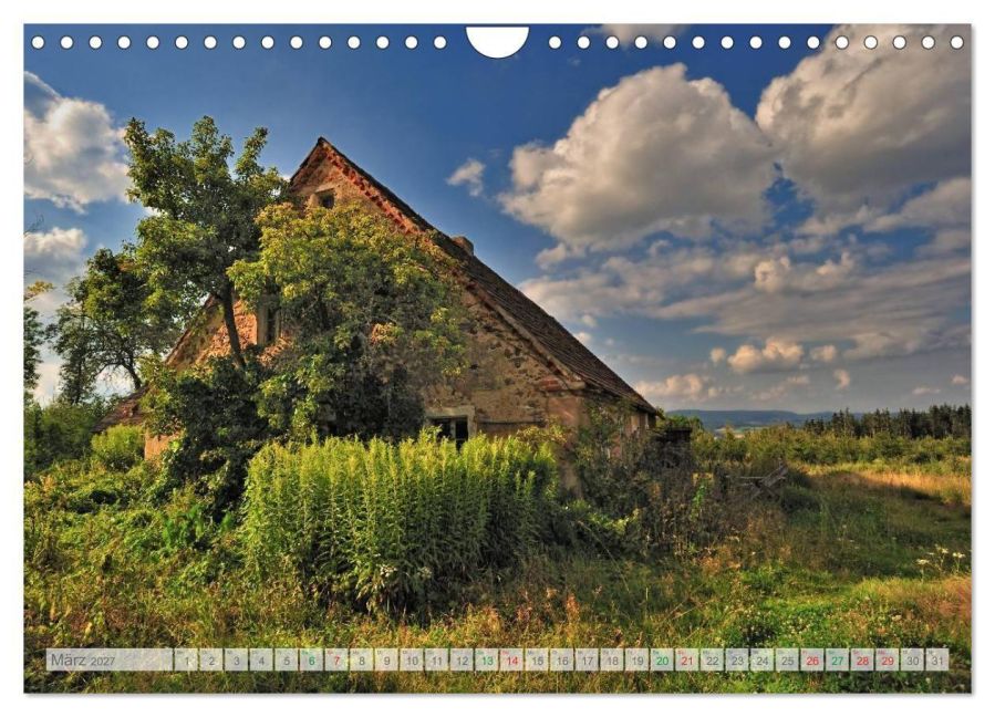InsideView 8