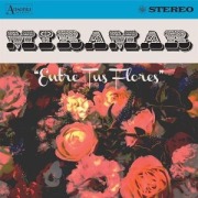 Cover-Bild zum Titel 'Entre Tus Flores' von 'Miramar'