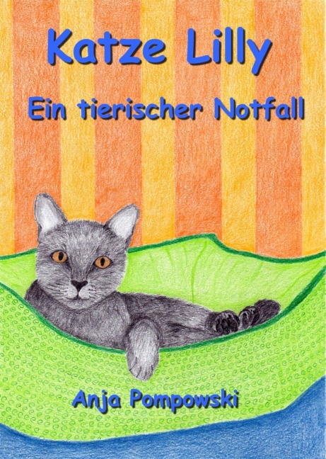 Katze Lilly - Ein tierischer Notfall - Anja Pompowski