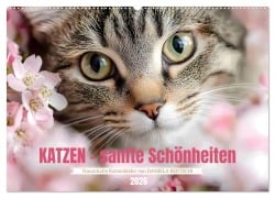 Cover-Bild zum Titel 'Katzen - sanfte Schönheiten (Wandkalender 2026 DIN A2 quer), CALVENDO Monatskalender' von 'Daniela Bertschi'
