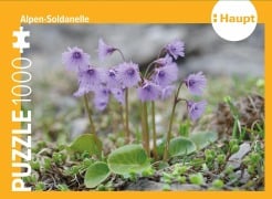 Cover-Bild zum Titel 'Alpen-Soldanelle - Puzzle. 1000 Teile' von ''