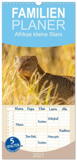 Familienplaner 2027 - Afrikas kleine Stars mit 5 Spalten (Wandkalender, 21 x 45 cm) CALVENDO - 