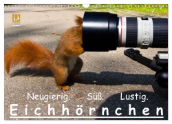 Cover-Bild zum Titel 'Eichhörnchen (Wandkalender 2026 DIN A3 quer), CALVENDO Monatskalender' von 'Ralph Reichert'