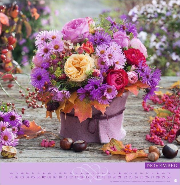 InsideView 11