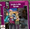 Die drei !!! 71: Gefahr in den Ruinen - Maja von Vogel