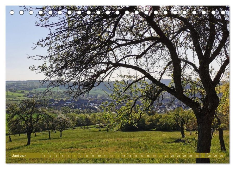 InsideView 11