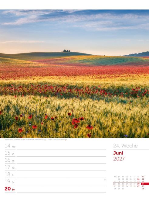 InsideView 28