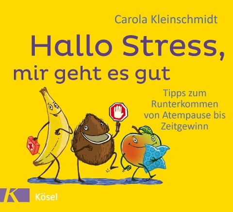 Hallo Stress, mir geht es gut - Carola Kleinschmidt
