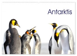 Antarktis - viaje.ch (Wandkalender 2026 DIN A2 quer), CALVENDO Monatskalender - (C) Viaje. Ch