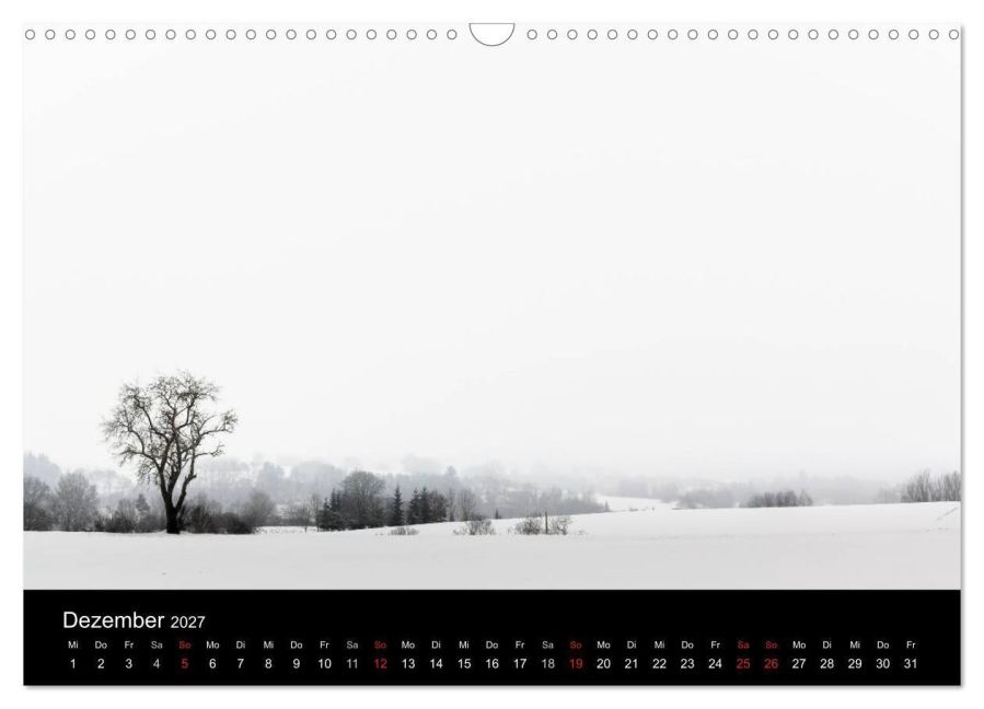 InsideView 4