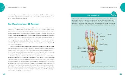 InsideView 3