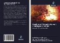Cover-Bild zum Titel 'Bosbrand Catastrofe van Pedrógão Grande' von 'Isabel Sousa Miranda, Aurora Gonçalves Pereira, Clementina Fernandess Sousa'