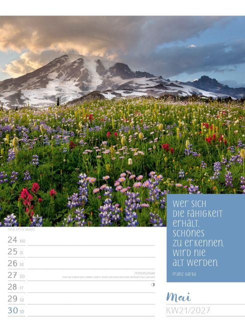 InsideView 25