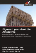 Cover-Bild zum Titel 'Pigmenti pozzolanici in Amazzonia' von 'Fádia Simone Silva Lima, Euler Santos Arruda Junior, Marcio Santos Barata'