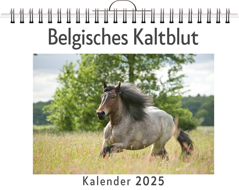 Belgisches Kaltblut - Emilia Fischer