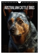 Cover-Bild zum Titel 'Australian Cattle Dogs (Wandkalender 2026 DIN A4 hoch), CALVENDO Monatskalender' von 'Tim Alberts'